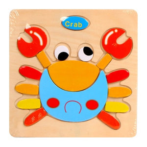 Wooden Puzzle Educational Brain Teaser Toys